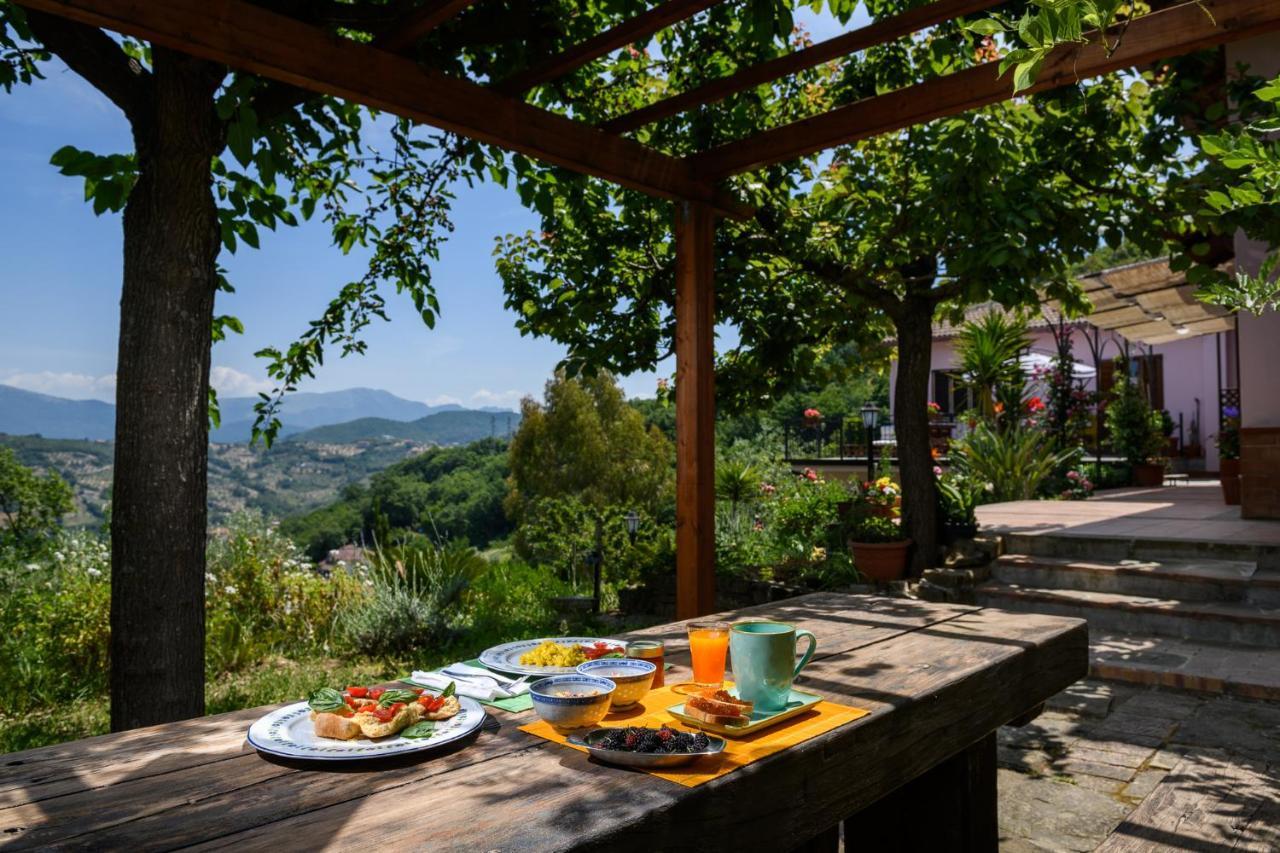 B&B Albachiara Casa Di Campagna 오글리아스트로 실렌토 외부 사진