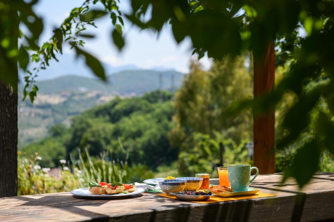 B&B Albachiara Casa Di Campagna 오글리아스트로 실렌토 외부 사진