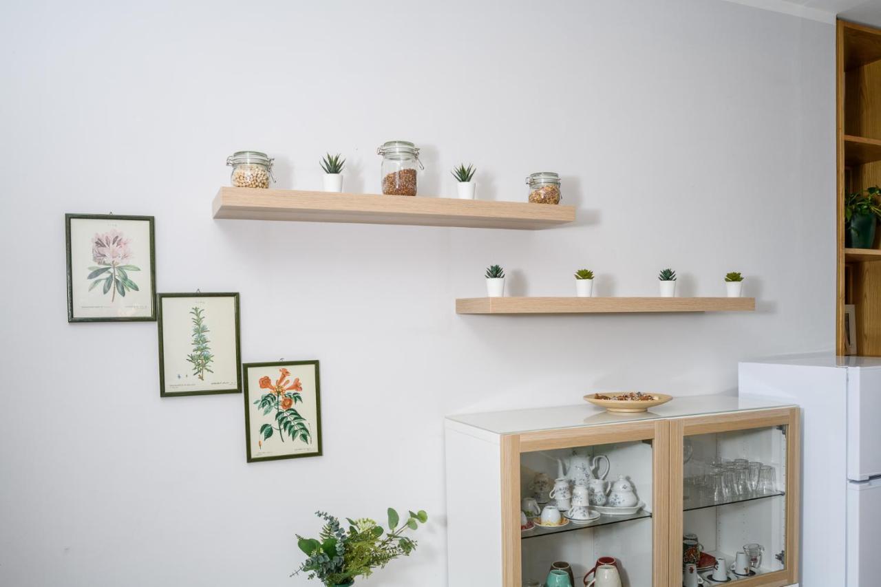 B&B Albachiara Casa Di Campagna 오글리아스트로 실렌토 외부 사진