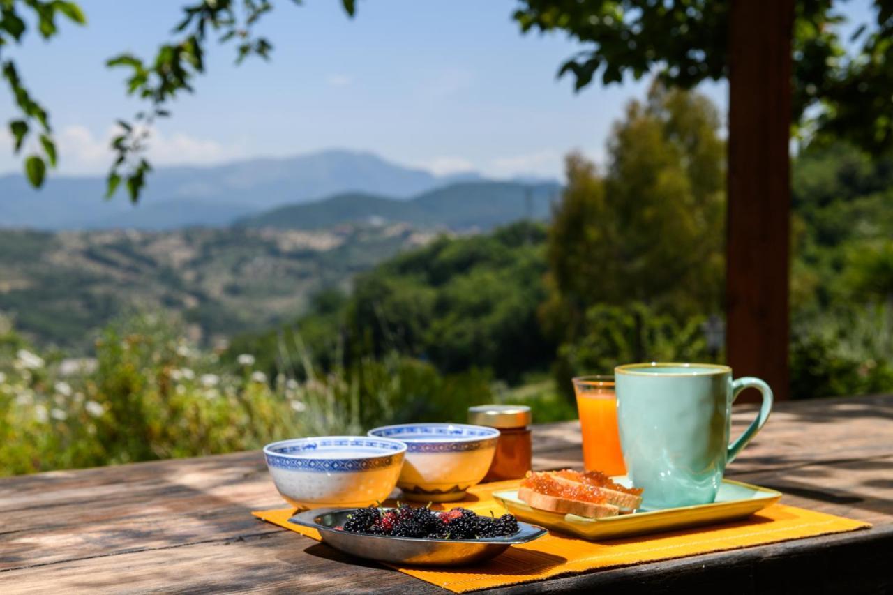 B&B Albachiara Casa Di Campagna 오글리아스트로 실렌토 외부 사진