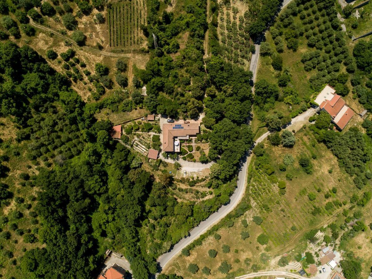 B&B Albachiara Casa Di Campagna 오글리아스트로 실렌토 외부 사진