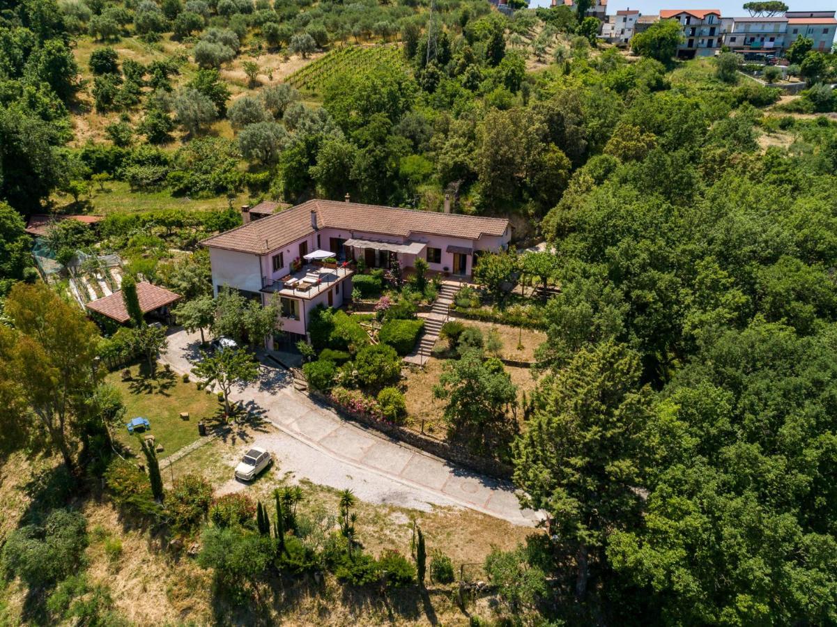 B&B Albachiara Casa Di Campagna 오글리아스트로 실렌토 외부 사진
