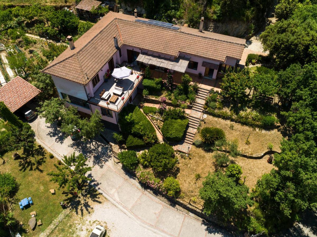 B&B Albachiara Casa Di Campagna 오글리아스트로 실렌토 외부 사진