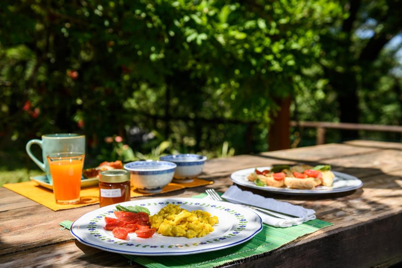 B&B Albachiara Casa Di Campagna 오글리아스트로 실렌토 외부 사진