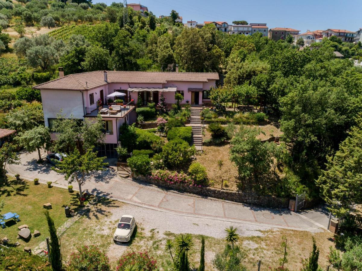 B&B Albachiara Casa Di Campagna 오글리아스트로 실렌토 외부 사진