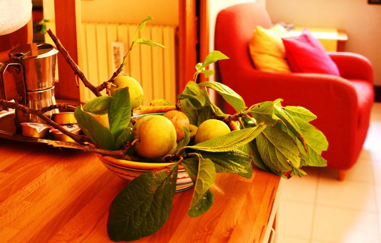 B&B Albachiara Casa Di Campagna 오글리아스트로 실렌토 외부 사진