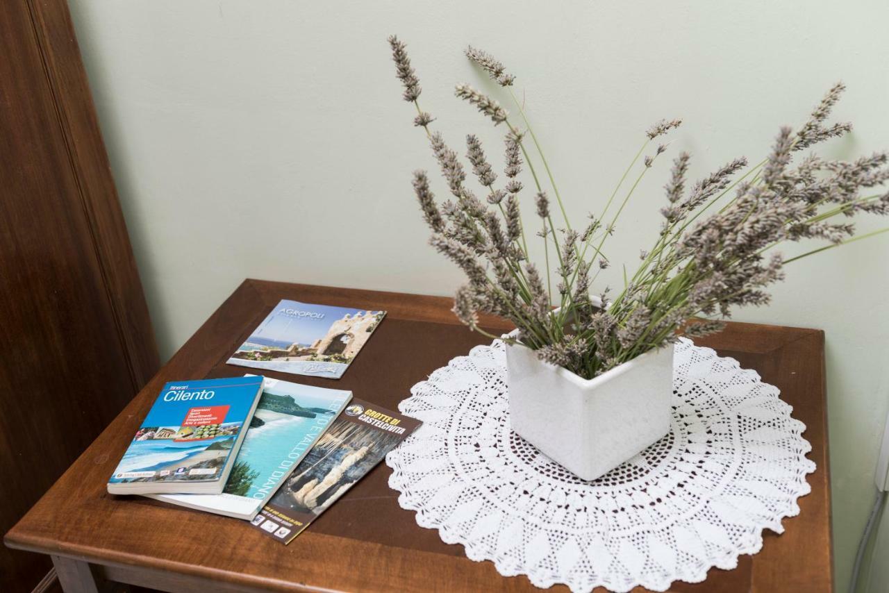 B&B Albachiara Casa Di Campagna 오글리아스트로 실렌토 외부 사진