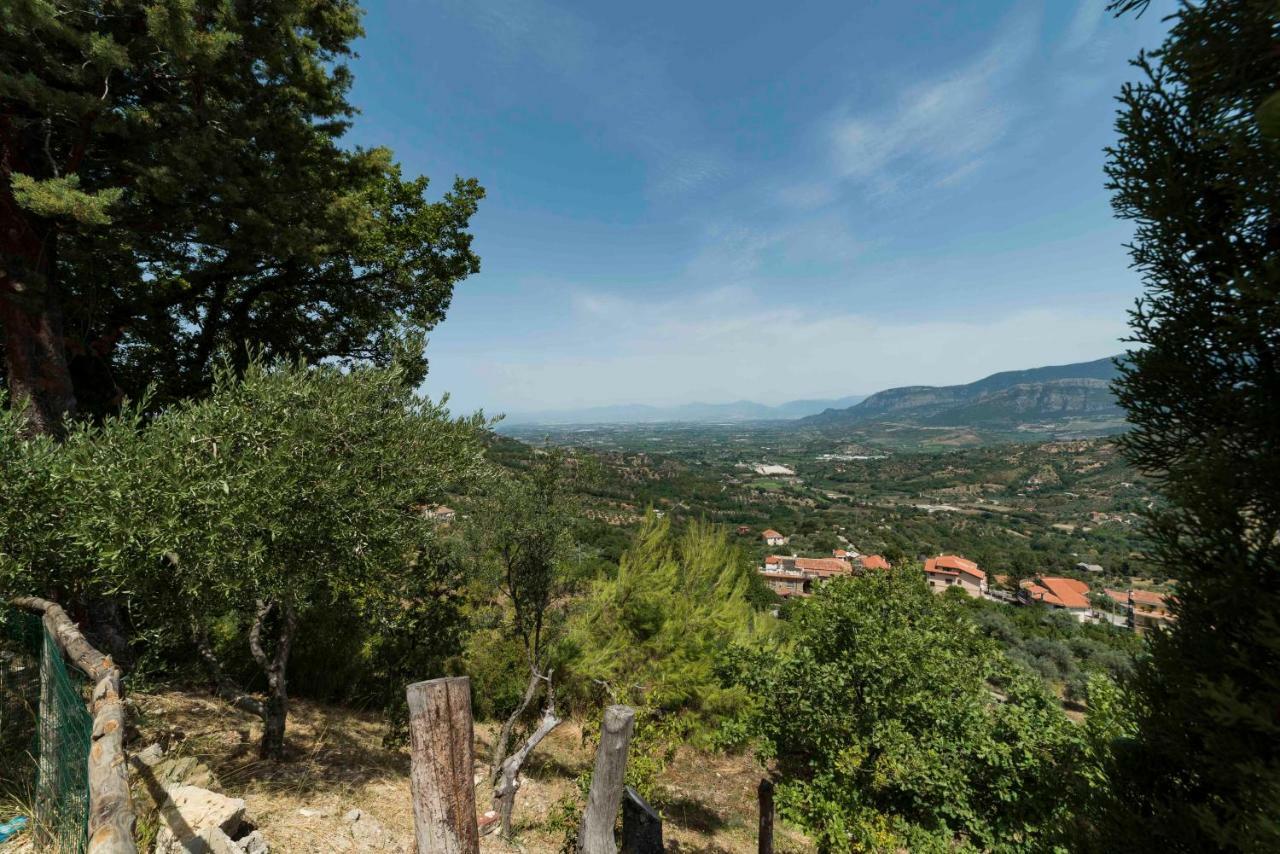 B&B Albachiara Casa Di Campagna 오글리아스트로 실렌토 외부 사진