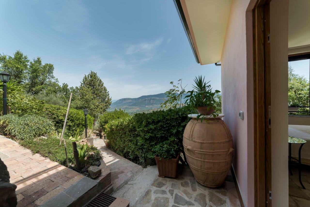 B&B Albachiara Casa Di Campagna 오글리아스트로 실렌토 외부 사진