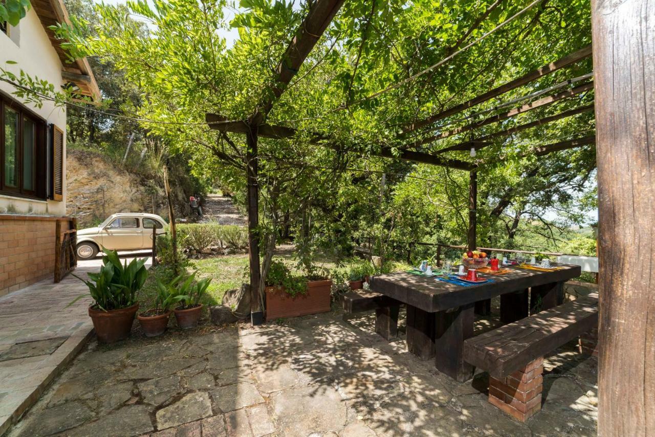 B&B Albachiara Casa Di Campagna 오글리아스트로 실렌토 외부 사진