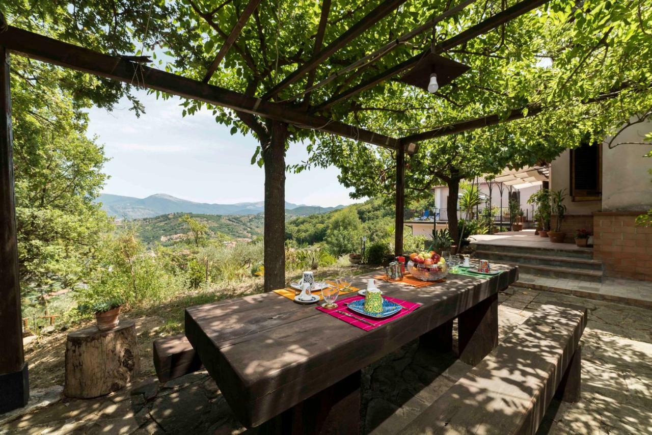 B&B Albachiara Casa Di Campagna 오글리아스트로 실렌토 외부 사진