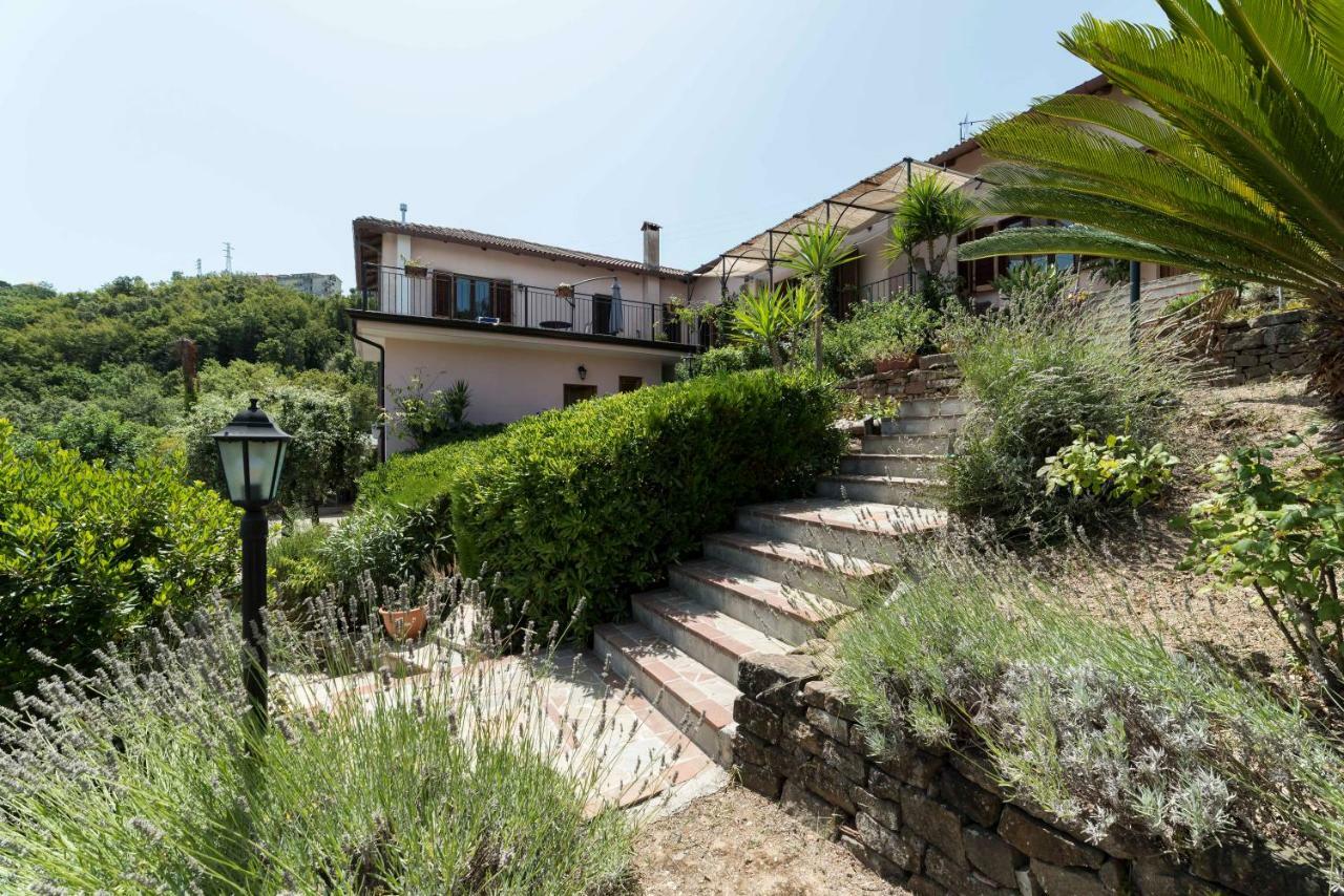 B&B Albachiara Casa Di Campagna 오글리아스트로 실렌토 외부 사진