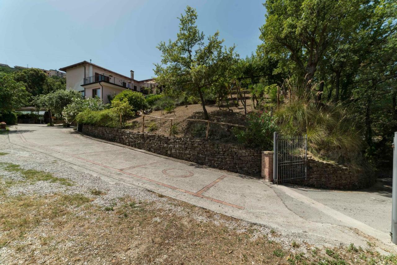 B&B Albachiara Casa Di Campagna 오글리아스트로 실렌토 외부 사진
